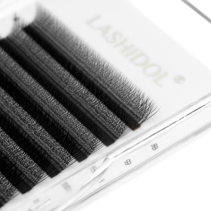 LASHIDOL-W Eyelash Extension 3D Volume Premade Fan 8-15mm Matte Black Cluster