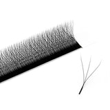LASHIDOL-W Eyelash Extension 3D Volume Premade Fan 8-15mm Matte Black Cluster