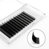 LASHIDOL-W Eyelash Extension 5D Volume Premade Fan 8-15mm