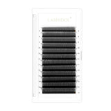 LASHIDOL-W Eyelash Extension 3D Volume Premade Fan 8-15mm Matte Black Cluster