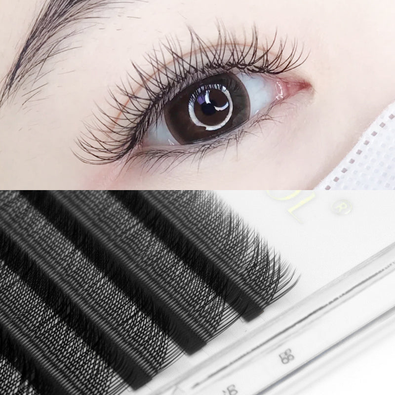 LASHIDOL-YY-Shaped eyelashes extension 12 rows